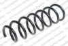 ROC CS7973 Coil Spring